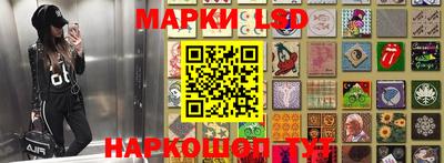 спайс Донской
