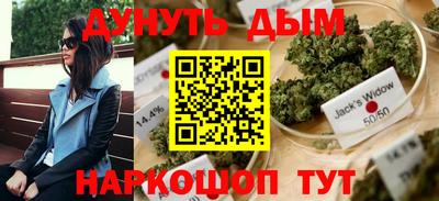 сатива Донецк