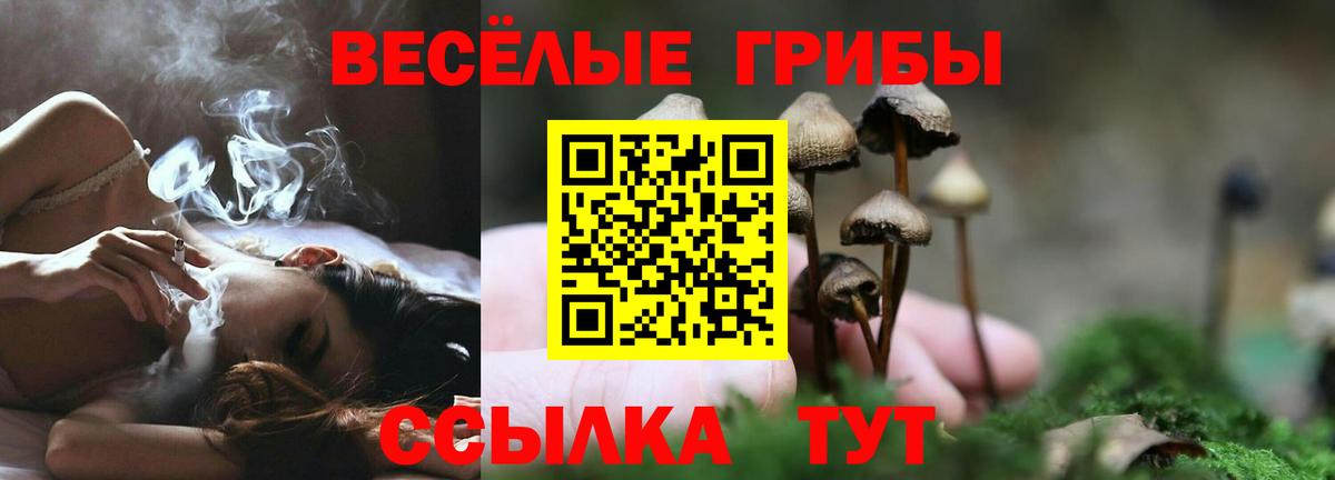 Галлюциногенные грибы Magic Shrooms  Галлюциногенные грибы Psilocybe  Ликино-Дулёво  наркота  Вход с VPN 